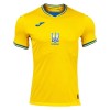 Maillot de Supporter Ukraine Domicile Euro 2024 Pour Homme